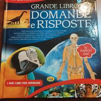 Grande libro delle domande e delle risposte 