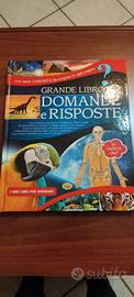 Grande libro delle domande e delle risposte 