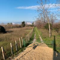 Terreno in Somma Vesuviana (NA)