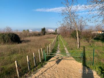 Terreno in Somma Vesuviana (NA)