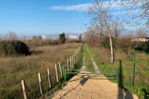 Terreno in Somma Vesuviana (NA)