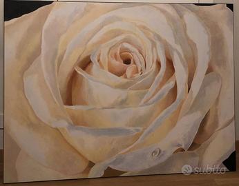 Quadro stampa rosa bianca 130x100 circa
