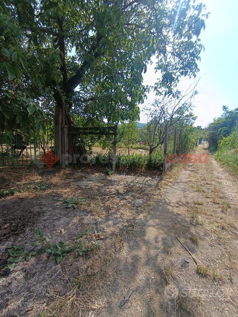 Terreno Agricolo Castel San Giorgio - Altro