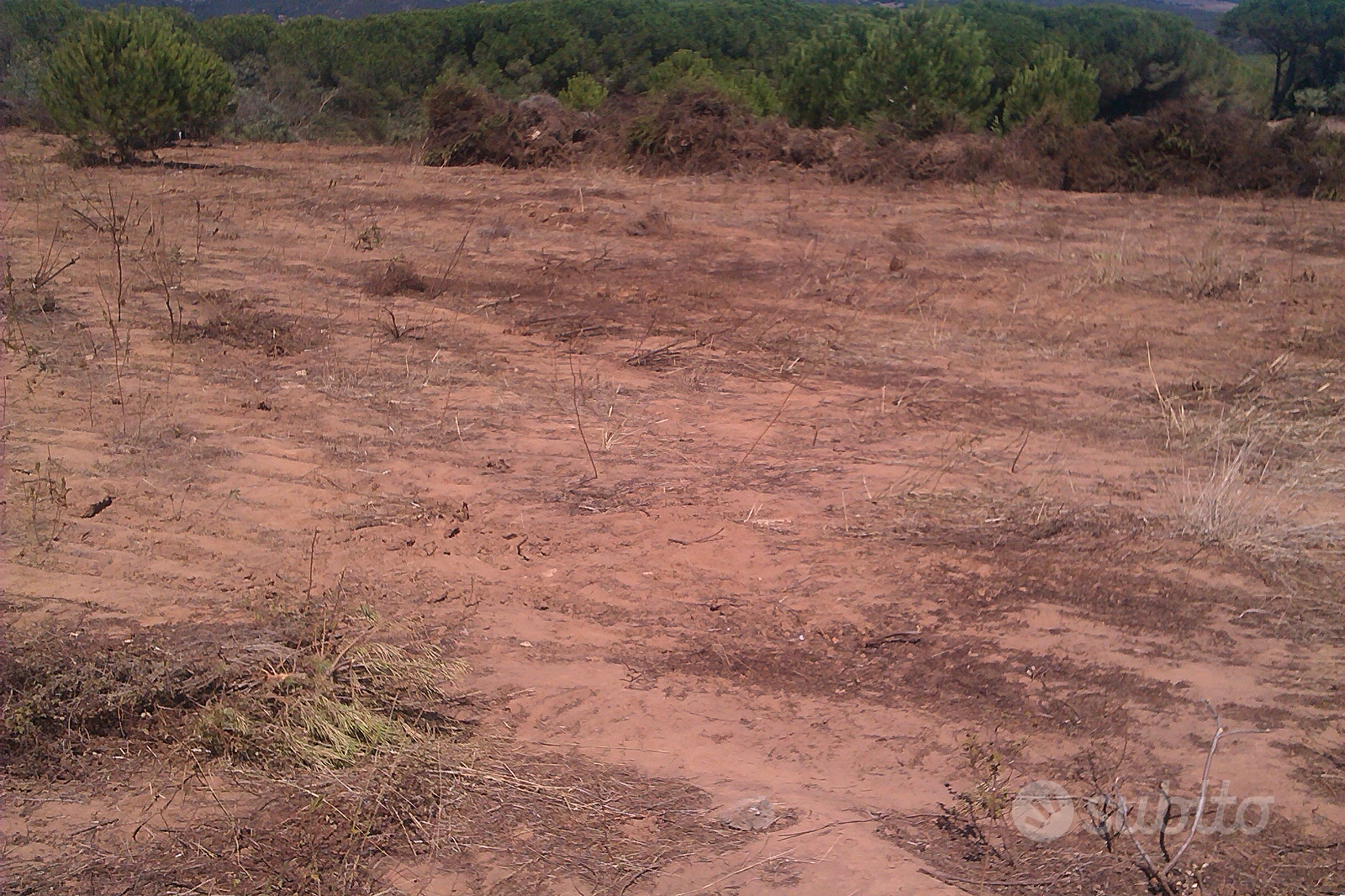 Terreno a porto ferro - Vista 2