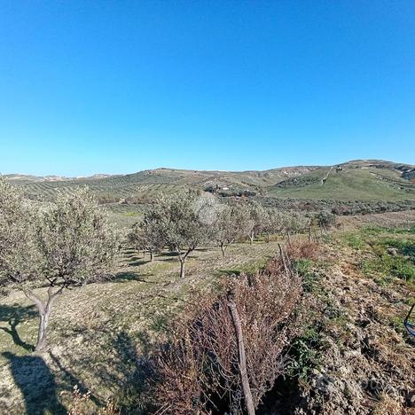 TER. AGRICOLO A CROPANI