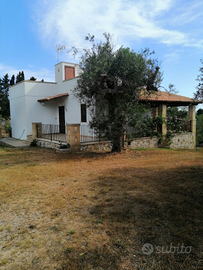 Villetta tra gli ulivi