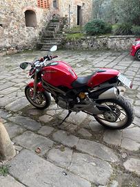 Ducati monster