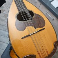 mandolino suzuki nagoya m 30