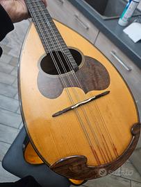 mandolino suzuki nagoya m 30