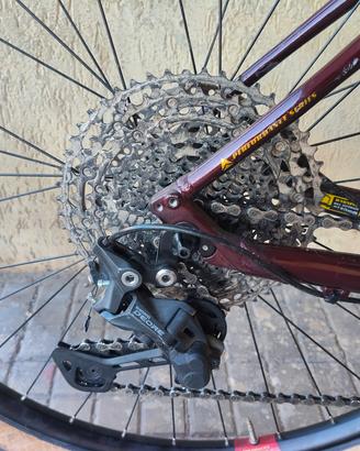 MTB Bergamont revox 7