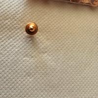 Speciali rivetti neri è rame