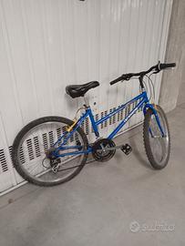 Bicicletta ragazzo 