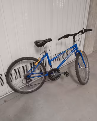 Bicicletta ragazzo 