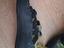 Immagine 4