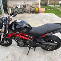 Benelli BN 302 - 2020