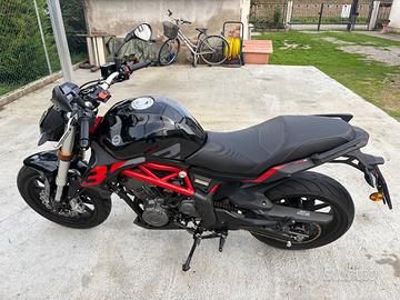Benelli BN 302 - 2020