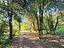 Immagine 26