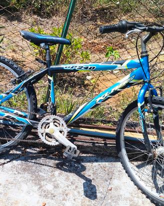 bici usata
