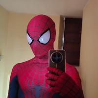 Costume Replica Cosplay The Amazing Spiderman 2