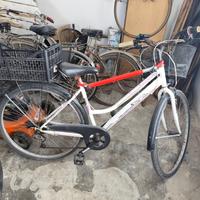 bici city e Mountain bike 