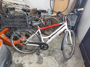 bici city e Mountain bike 
