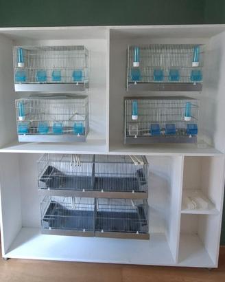 Gabbia da 90 e da 55