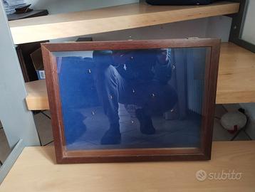 Bacheca per "cipolle"