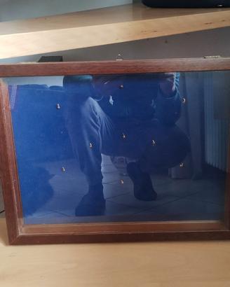 Bacheca per "cipolle"