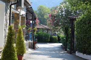 Vicino Scario e Policastro 1/8 al 8/8 LastMinute