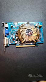 Scheda grafica NVIDIA Geforce 8500GT