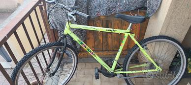 Bicicletta