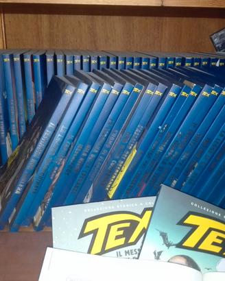 Tex cartronato blu