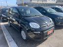fiat-panda-1-2-gpl-69-cv-2023