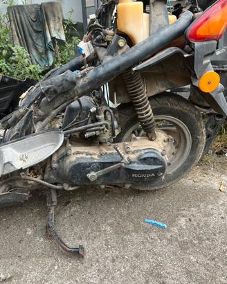 Honda bali