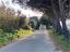 Immagine 16
