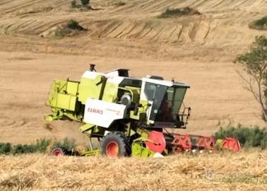 Claas dominator