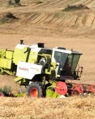 Claas dominator