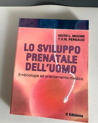 Lo sviluppo prenatale dell’uomo