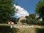 Immagine 24