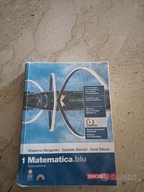 Matematica.blu 1