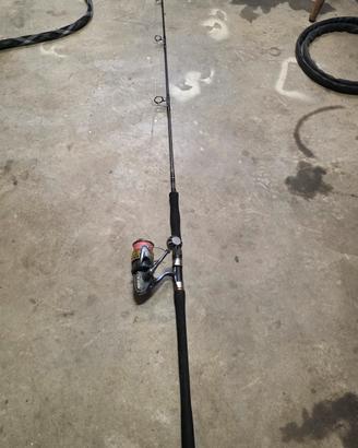 Canna Rapture GT S802 mulinello Shimano Saragosa