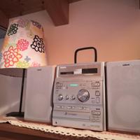Stereo Hi Fi Sony Cmt CP300