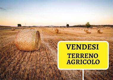 Terreno Buddusò