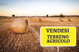 Terreno Buddusò