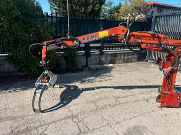 A161 BRACCIO CON PINZA FORESTALE - GRU