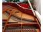 Immagine 7