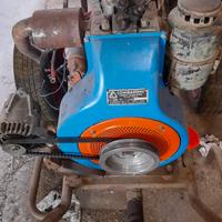 Motore Lombardini 18cv avviamento elettronico