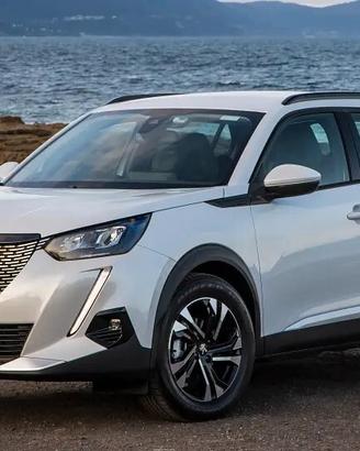 Ricambi peugeot 2008 2020-2021-2022