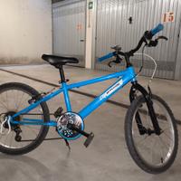 bicicletta bambino ruota 20