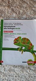 introduzione alla biologia. verde